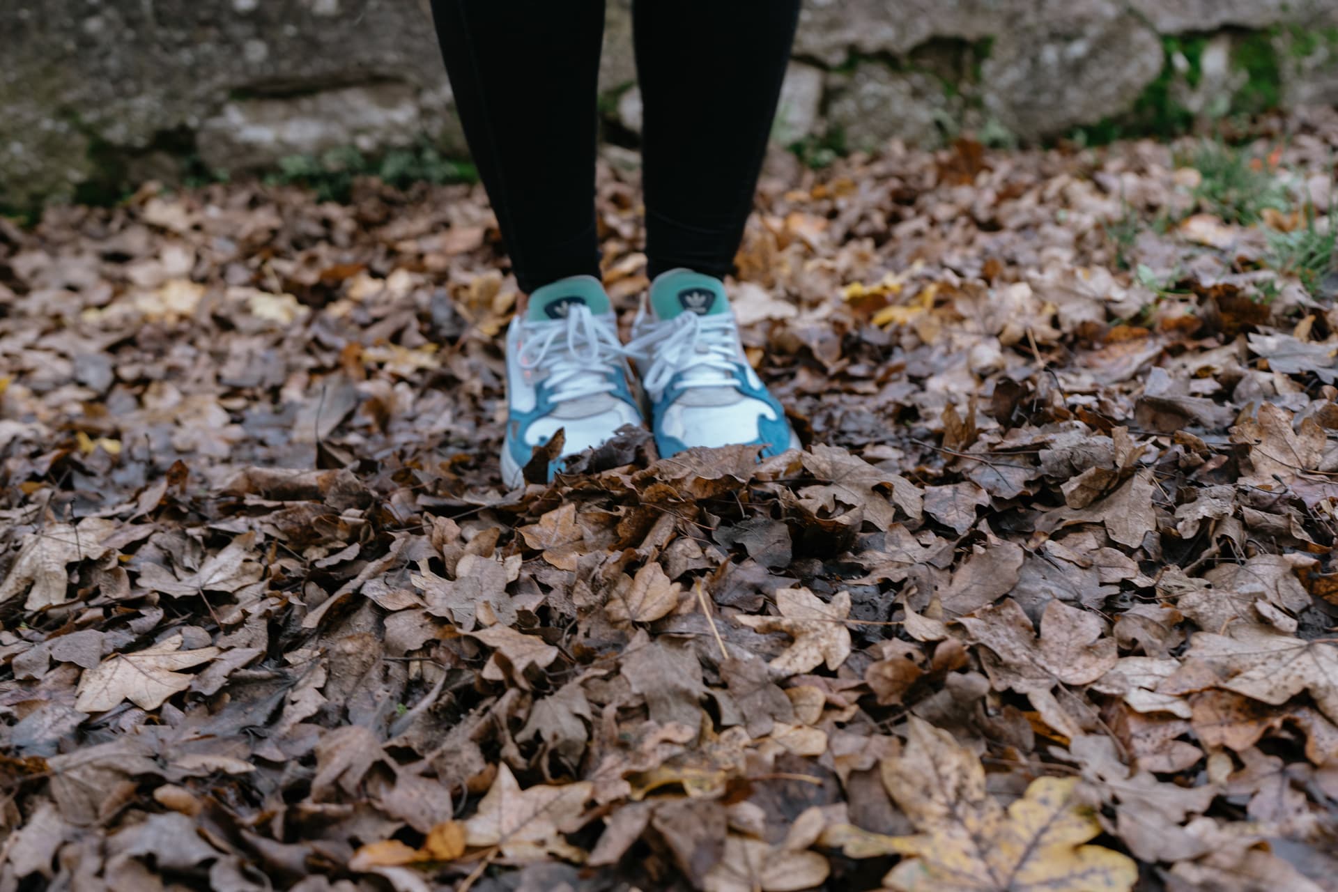 Training im Herbst