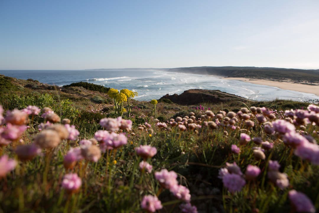 Aussicht über eine Wiese aufs Meer in Portugal