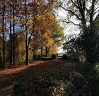 Original Bootcamp Fitness Training