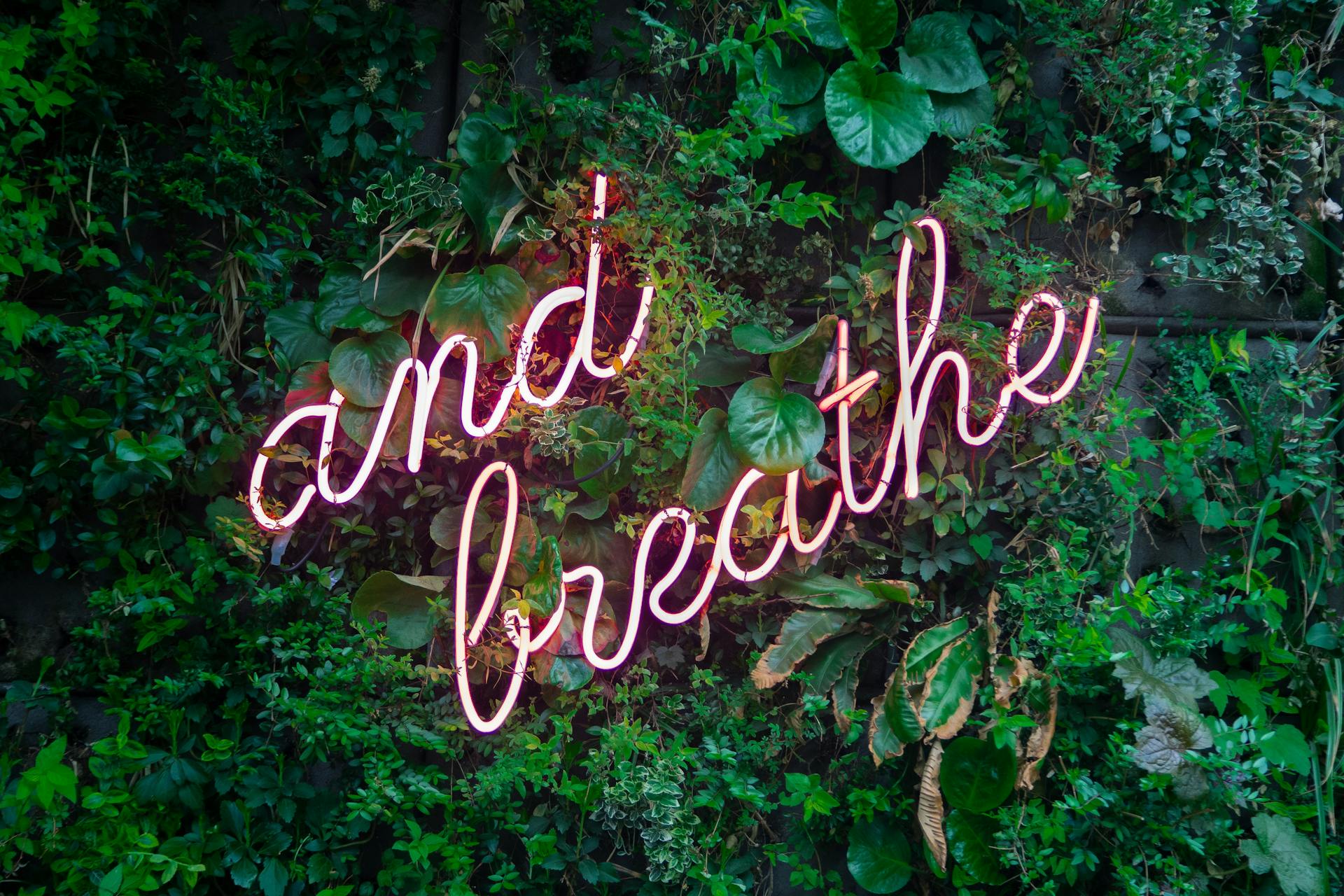 Grüner Hintergrund mit Aufruf sich zu Entspannen und zu Atmen
