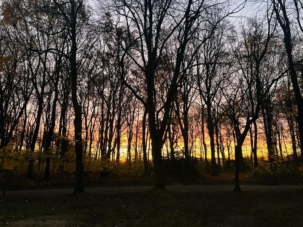 Original Bootcamp Location Hamburg Volkspark