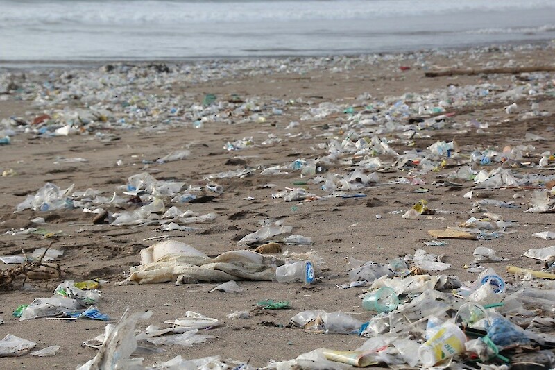 Fasten für die Umwelt: Der Verzicht auf Plastik