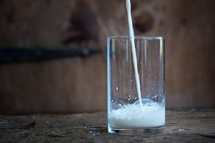 Fazit – was die Milch nun wirklich kann