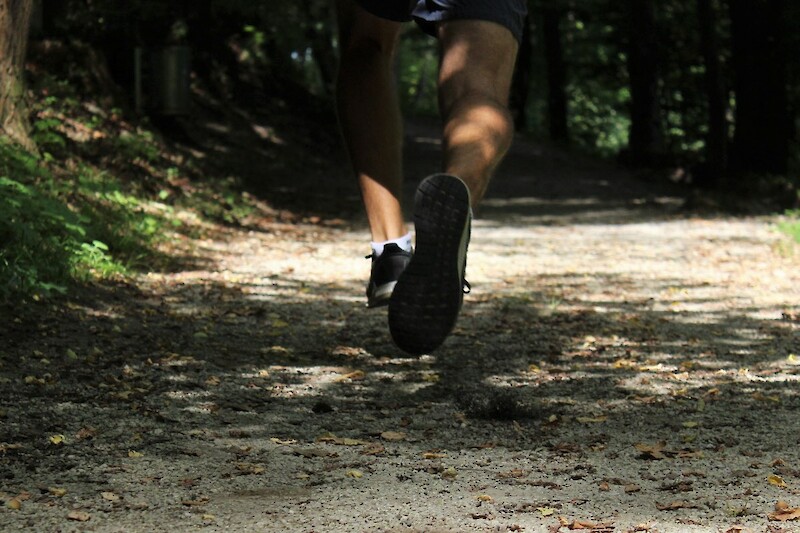 Trailrun vorausschauend laufen wegen unebene Böden