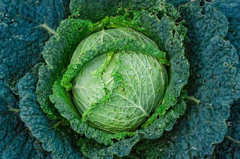 Leckeres Grünkohl Rezept zum nachmachen